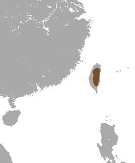 <span class="mw-page-title-main">Lesser Taiwanese shrew</span> Species of mammal