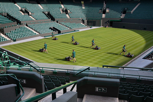Grass court maintenance at Wimbledon