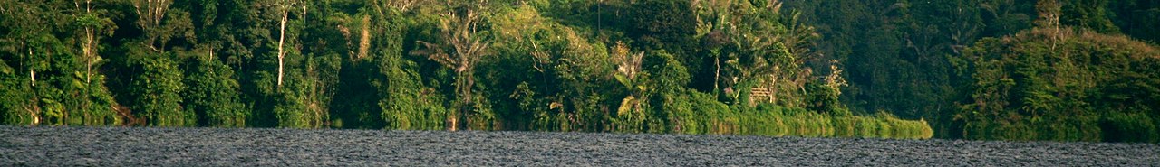 Lore Lindu National Park banner.jpg