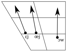 Diphthongs of the Maastrichtian dialect, from Gussenhoven & Aarts (1999:159)