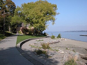 Madrona Park - 1.jpg