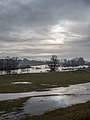 * Nomination Flooded fields near the village of Nedensdorf in the upper Main valley --Ermell 07:08, 7 February 2018 (UTC) * Promotion Good quality. --Jacek Halicki 09:16, 7 February 2018 (UTC)