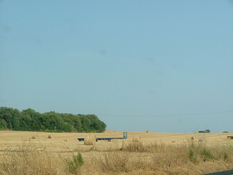 File:Mallorca fields 1.JPG