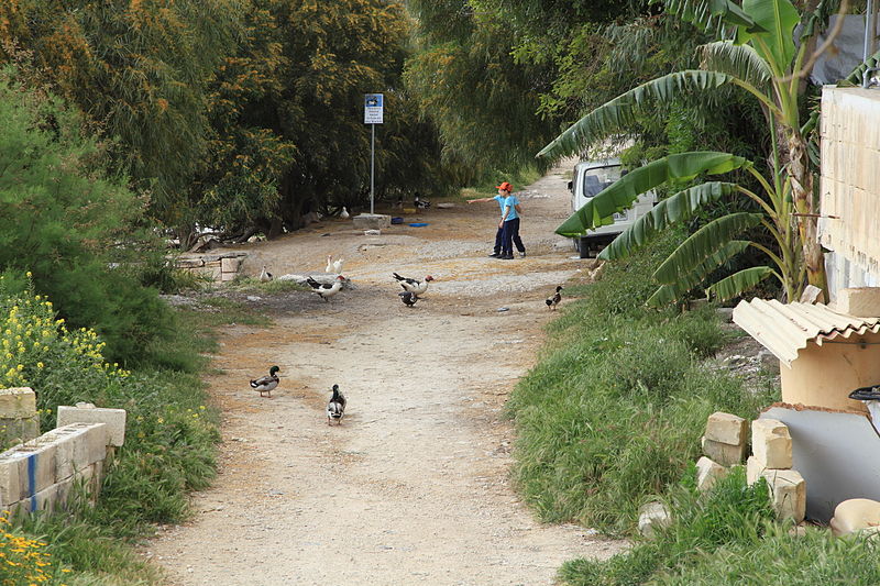 File:Malta - St. Paul's Bay - Triq tax-Xtut-Keddedy Grove - Is-Salini 03 ies.jpg