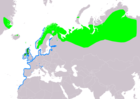 Aire de répartition de la Macreuse noire