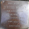 image=File:Mendel geb. Lebenstein, Teresia.png