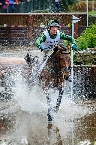 <span class="mw-page-title-main">Austin O'Connor</span> Irish equestrian