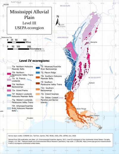 Map of the Mississippi Mississippi Alluvial Plain's Level IV ecoregions Mississippi Alluvial Plain ecoregion map.svg