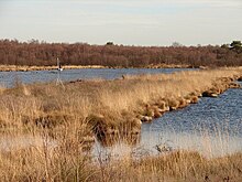 Monitoring equipment on Hatfield Moors - geograph.org.uk - 1172640.jpg