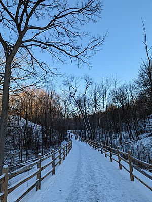 Mud Creek (Toronto)