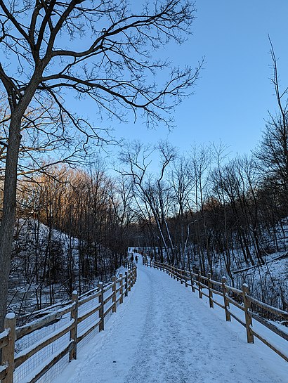 How to get to Moore Park Ravine with public transit - About the place