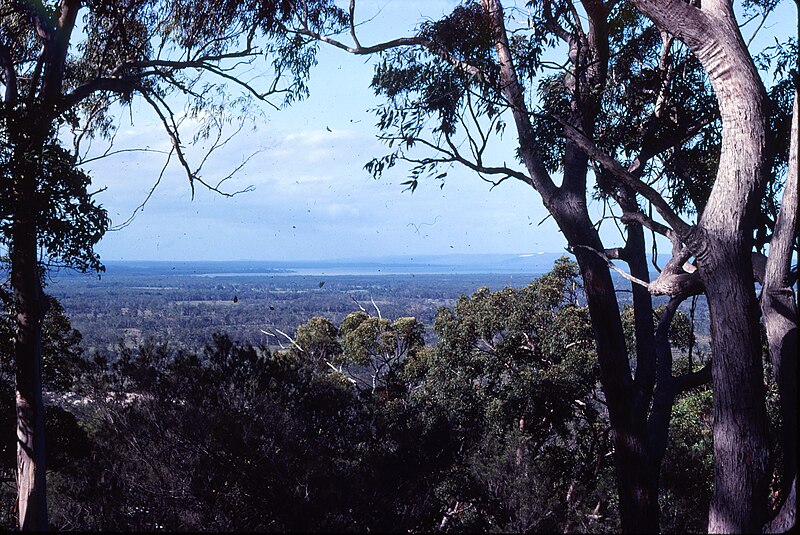 File:Moreton Bay and Stradbroke Island from Mt Tamborine Queensland 1980s IMG 0130.jpg