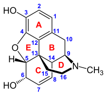 Locants of the morphine molecule Morphine structure.svg