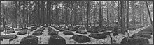 Moscow City Brotherly Cemetery in 1915 Moscow City Brotherly Cemetery 1915.jpg