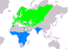 Aire de répartition de la Bergeronnette printanière