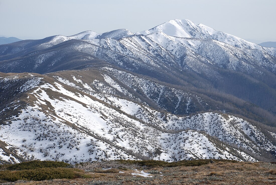 Alpes Australianae