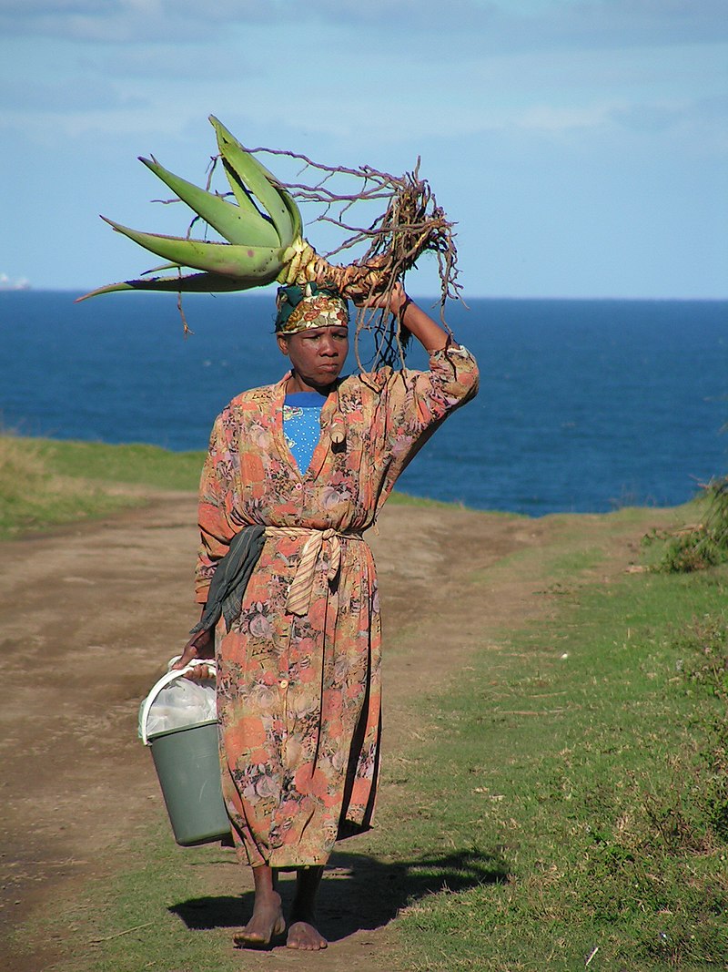 Women in South Africa image picture