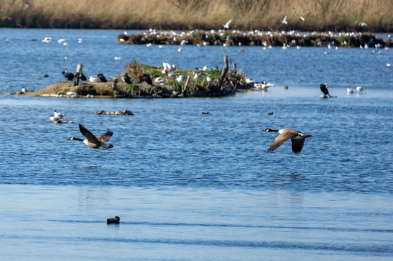 File:Nördliches Aatal und Emsniederung DSC9291.jpg