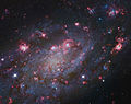 NGC 2403 (Subaru Telescope (NAOJ), Hubble Legacy Archive)