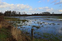 de:Naturschutzgebiet Recker Moor