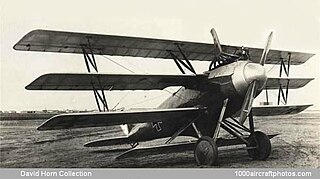 <span class="mw-page-title-main">Naglo D.I</span> 1910s German fighter aircraft