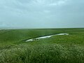 Nalati Grassland 3, Xinjiang, China