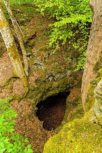 File:Naturdenkmal Friedrichshöhle.jpg