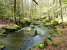 Naturschutzgebiet Höllbachtal ⊙49.08421212.428345