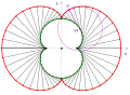 Nephroide: Evolute