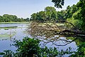 * Nomination Dead tree in the lake “Großer De Wittsee” in Nettetal --Carschten 11:21, 11 July 2020 (UTC) * Promotion Very nice. There are two three (very soft) dust spots in the sky, see image notes. --Aristeas 11:28, 11 July 2020 (UTC)  Done Bei dem Bild hatte ich das Entfernen vergessen, es sollte ein Einzelfall gewesen sein (es waren sogar mehr als 3 Spots). Danke für deinen Hinweis! --Carschten 12:09, 11 July 2020 (UTC)  Support Thank you! Kein Problem, sowas kommt vor, ich will nur helfen, dass gute Bilder noch besser werden. --Aristeas 14:48, 11 July 2020 (UTC)