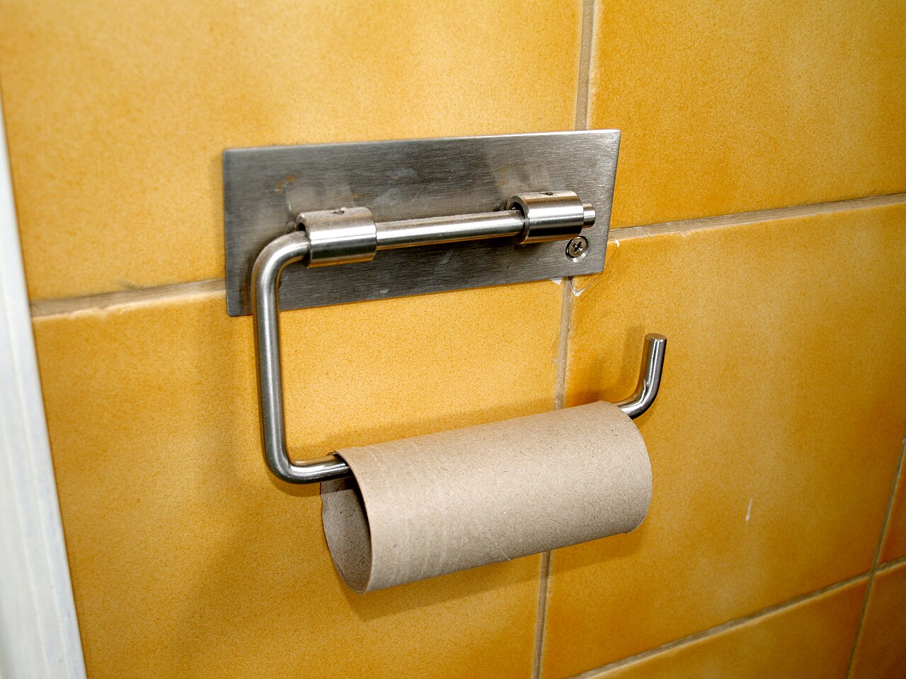 https://upload.wikimedia.org/wikipedia/commons/thumb/1/1c/No_toilet_paper.jpg/1280px-No_toilet_paper.jpg