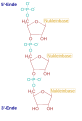 Hình xem trước của phiên bản lúc 17:05, ngày 14 tháng 6 năm 2006