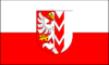Opava Flag.png