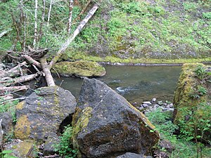 OregonCoastRangeRiver.JPG 