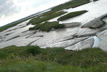 Gwernioù aber an Orne e Sallenelles