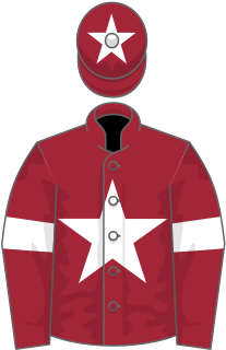 Tiger Roll Thoroughbred racehorse