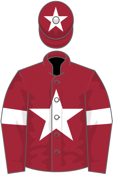 File:Owner Gigginstown House Stud.svg