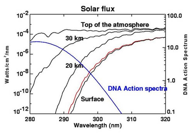 UV-B energy levels at several altitudes. Blue line shows DNA sensitivity. Red line shows surface energy level with 10 percent decrease in ozone