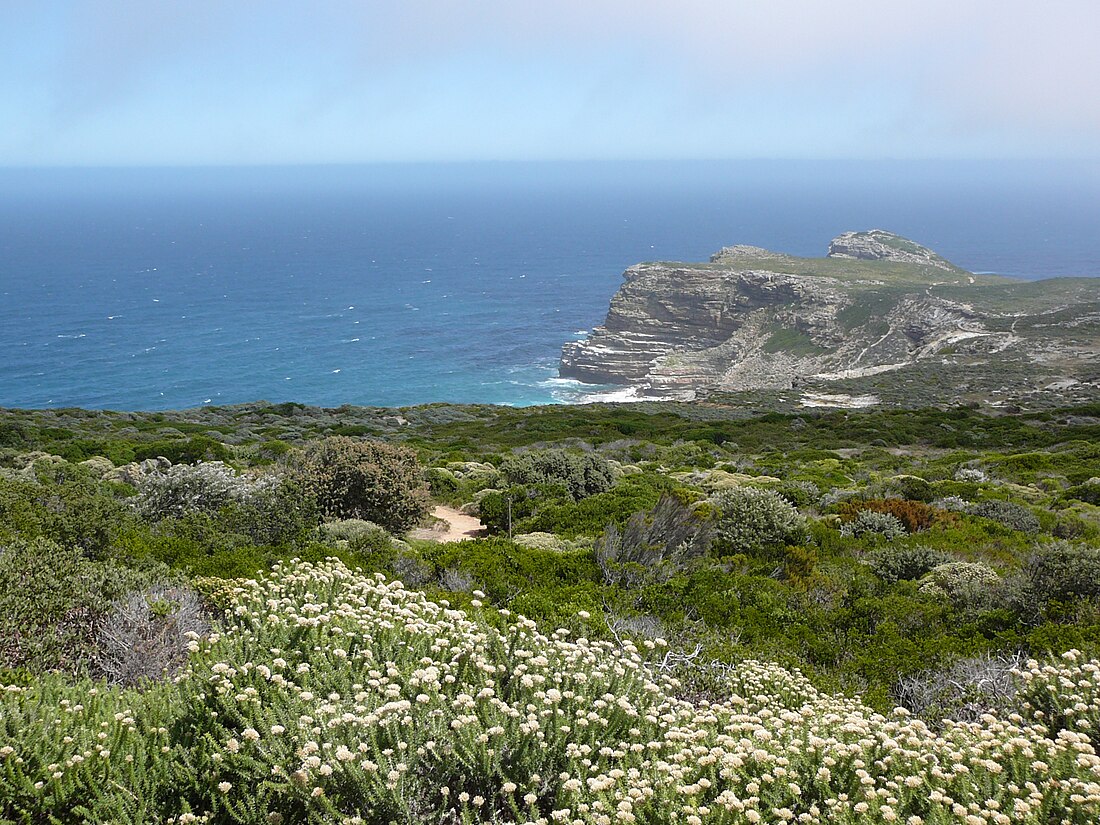 Áreas protegidas de la Región Floral del Cabo