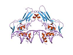 PDB rendering based on 1xbr.