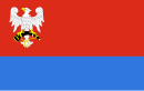 Vlag van Połaniec