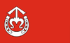 POL gmina Wojciechów flag.png