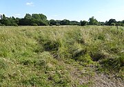 Category:Pakenham Meadows - Wikimedia Commons