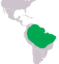 Distribución xeográfica do caimán almiscreiro