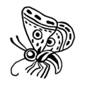 Papalotl-Mariposa-Butterfly.png