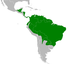 Patagioenas cayennensis map.svg