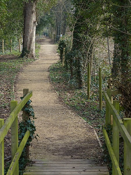 File:Path at the Skylarks Nature Reserve (geograph 4863676).jpg