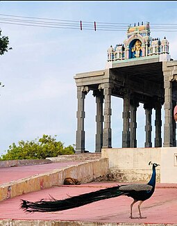 Peacock (lord murugan's vaanganam) at Tiruchendur temple Peacock at tiruchendur temple.jpg