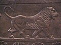 The engrave of a lion on a wall in Persepolis
