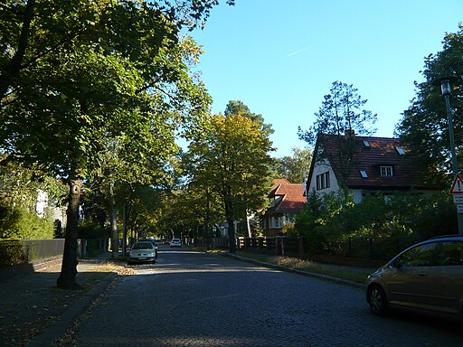 Pfeilstraße N'schönhausen 2011-09-30 AMA fec